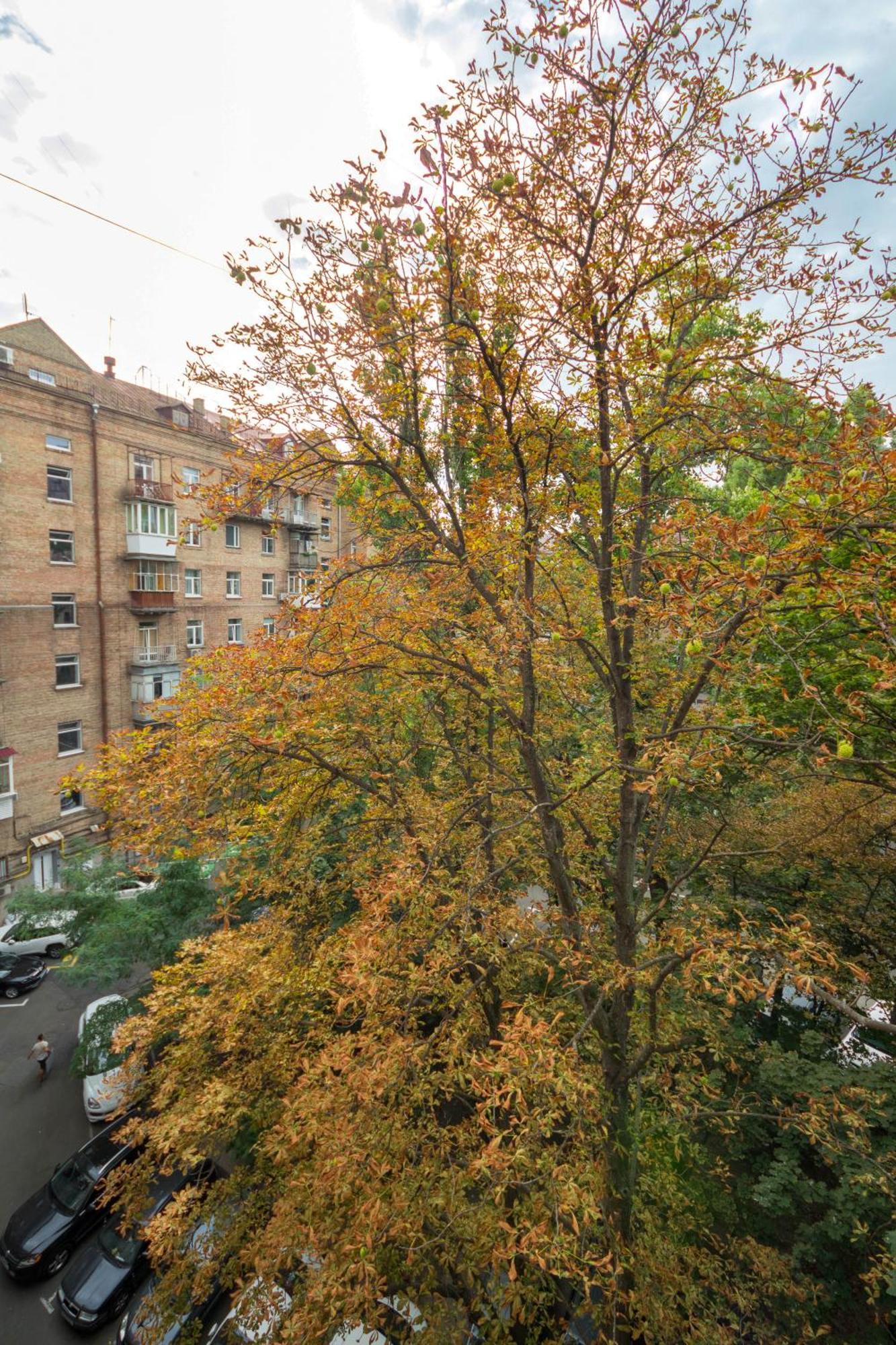 Central Apartments Kiev Bagian luar foto